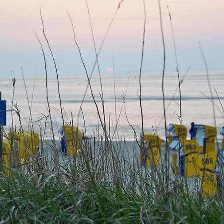 Sonniges Hinter Dem Deich Cuxhaven