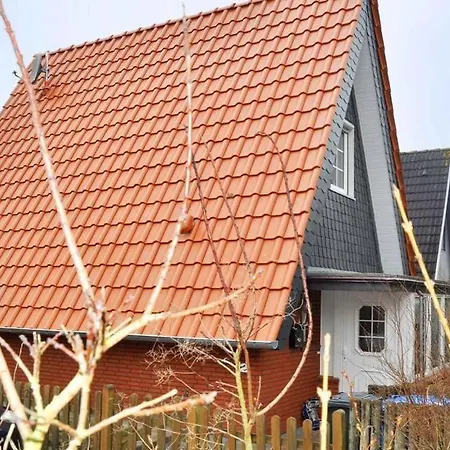 Sonniges Hinter Dem Deich Cuxhaven